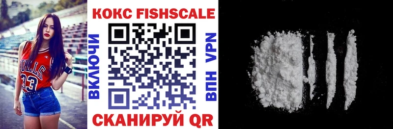 где можно купить Тамбов COCAIN Fish Scale