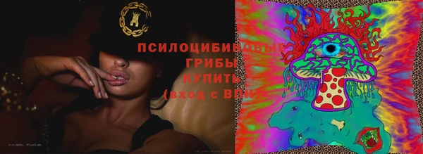 дживик Алексеевка