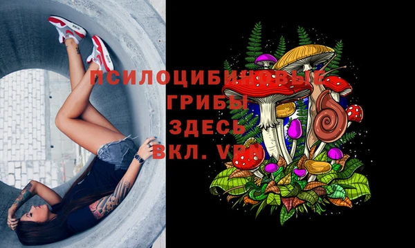 первитин Алексин