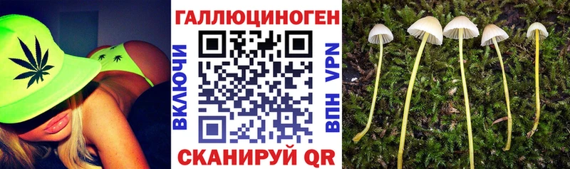 Галлюциногенные грибы Magic Shrooms  МЕГА ссылка  Тамбов 